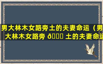 男大林木女路旁土的夫妻命运（男大林木女路旁 🍀 土的夫妻命运不合怎么化解）
